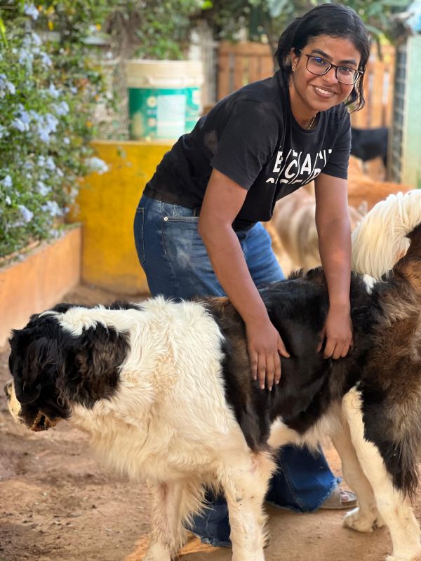 Woman petting a big dog